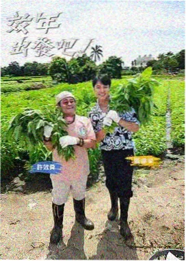 金曲捞